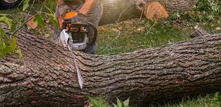 Lawn Drainage Solutions in Acalanes Ridge, CA
