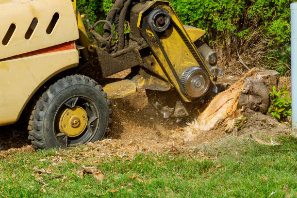Best Lawn Pest Prevention  in Alanes Ridge, CA
